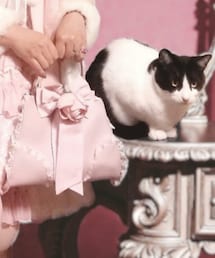 Spica(スピカ) | Spica/ティアラレースがま口Ｍ(ピンク)(ハンドバッグ)