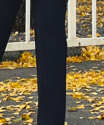 POLO | スラックス