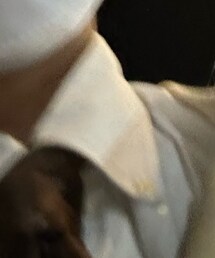 POLO RALPH LAUREN | シャツ/ブラウス