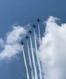 ブルーインパルス五輪飛行 | その他