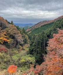 正丸峠奥村茶屋からの紅葉 | その他