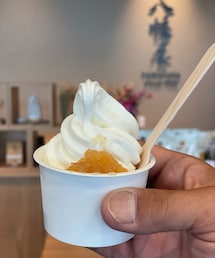 発酵食品の店の麹ソフトクリーム完熟りんごのせ | その他