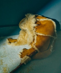 GOODKARMA DEVELOPMENT | 帽子