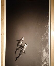 インスティトゥト・セルバンテス東京 | 二木 あい 写真展「共に生きる」(その他)