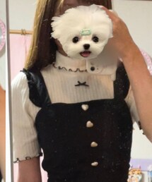 Ank Rouge | トップス