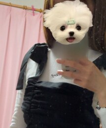 Honeys | Tシャツ/カットソー