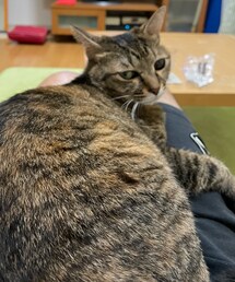 いつまでスマホいじってんの？の眼 | おもちゃ