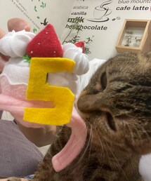 5歳になりました🐈 | ペットグッズ