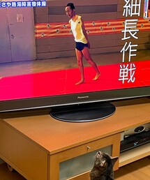 ブサメンがお好き⁉️ | おもちゃ