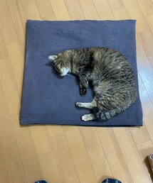 邪魔😑 | おもちゃ