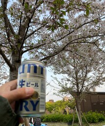 花見という名の酒盛り🍺 | アウトドアグッズ