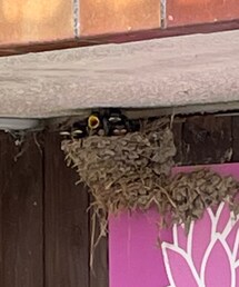 腹減ったぞ〜 | おもちゃ