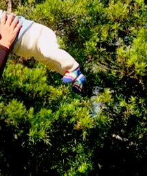 MIKI HOUSE | レッグウェア