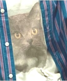 古着 | Tシャツ/カットソー