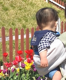 バースデー | トップス