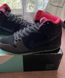 NIKE SB | northern lights(スニーカー)