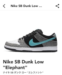 NIKE | Nike SB Dunk Low "Elephant"(スニーカー)