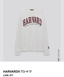 ZARA | Tシャツ/カットソー