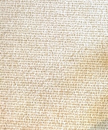その他セレクト | その他