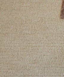 その他セレクト | その他