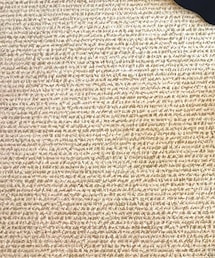 その他セレクト | その他