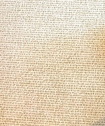 その他セレクト | その他