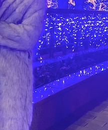 不明 | ムートンコート