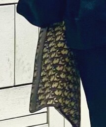 Christian Dior | クラッチバッグ