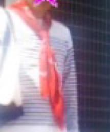 バンダナ（大）ハリウッドランチマーケット購入品 | ファッション雑貨