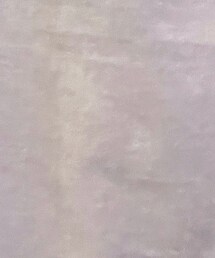 Ray | Tシャツ/カットソー