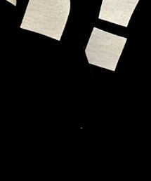 WWE | Tシャツ/カットソー