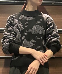 VIVIENNE TAM | ニット/セーター