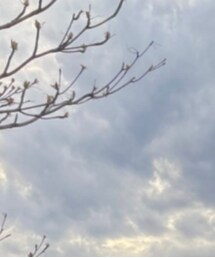 Instagramもお願いします | その他