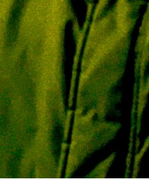 MILITARY | モッズコート