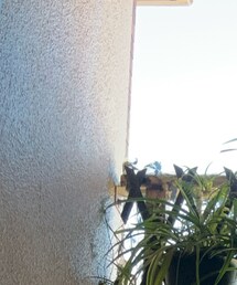 GAP | シャツ/ブラウス