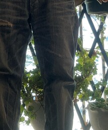 EDWIN | デニムパンツ