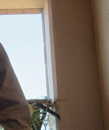 GU ロンT | Tシャツ/カットソー