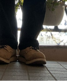 アイリッシュセッター | ブーツ