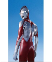 モデル | その他