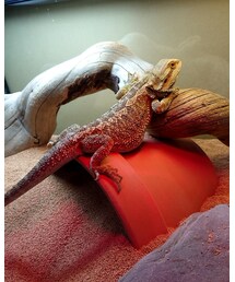 up忘れてた🤔 | その他