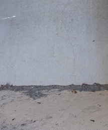 路地裏春のバンT祭り | その他