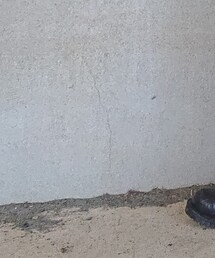 路地裏春のバンT祭り | その他