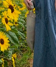 BEAUTY&YOUTH UNITED ARROWS | かごバッグ