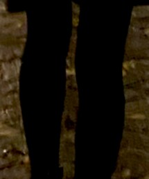 Wacoal | タイツ/ストッキング