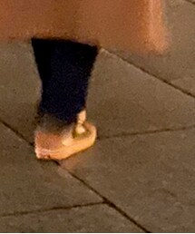 VANS | スニーカー