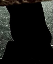 LAD MUSICIAN | スラックス