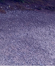 NIKE supreme | スニーカー