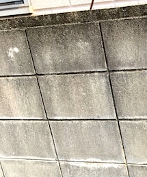 fragment design | キャップ