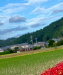 SHEIN | キャップ