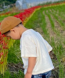 BeBeRin | Tシャツ/カットソー
